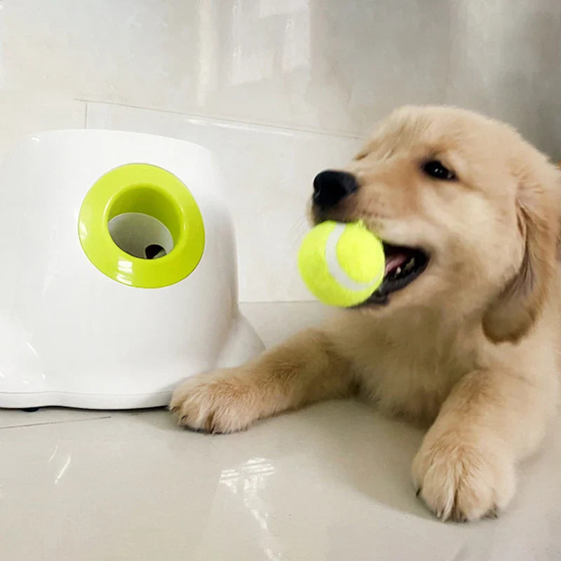 Hunde