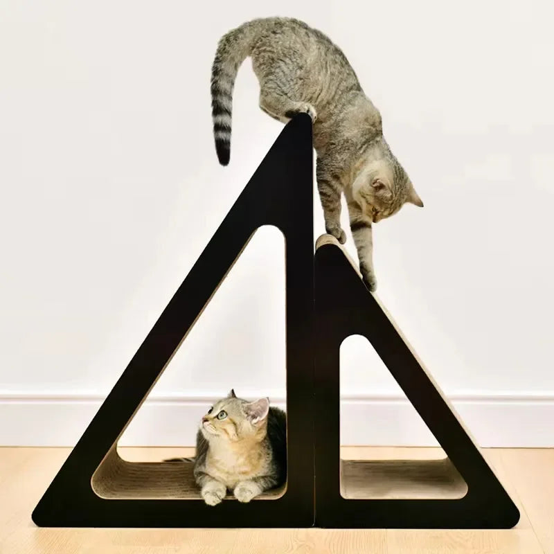 Katzen