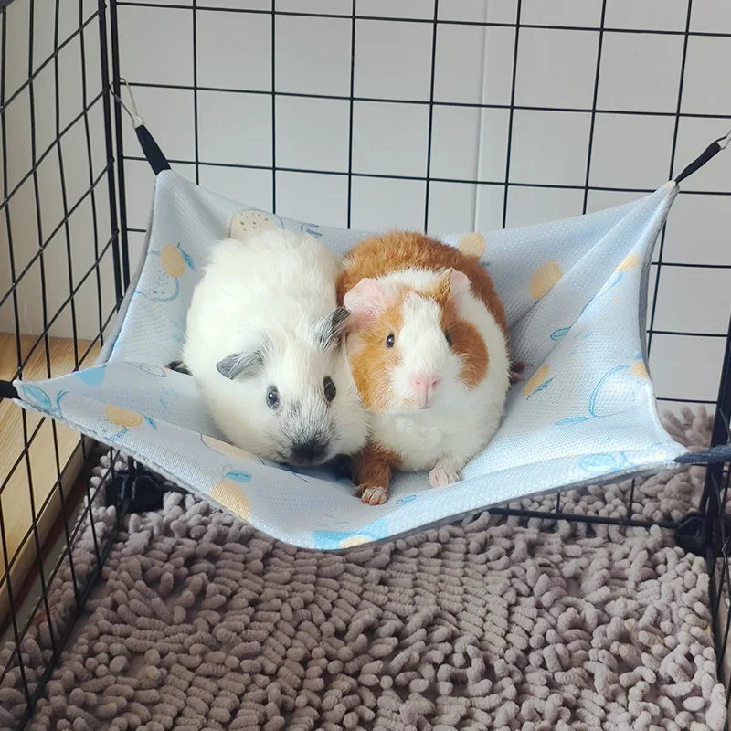 Hamster