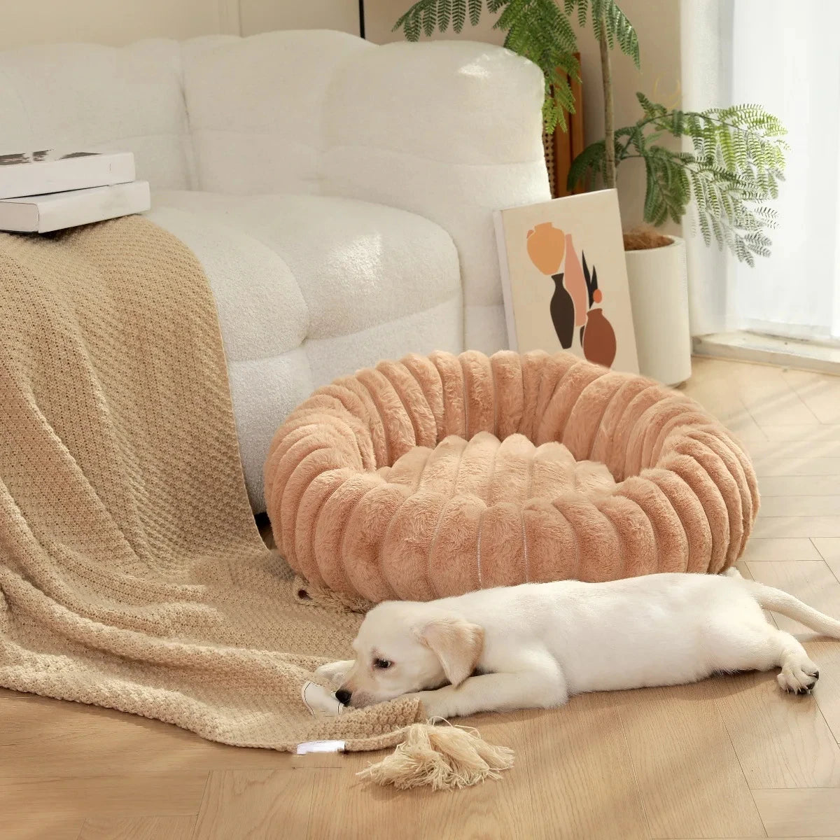 Flauschiges Hundekörbchen
