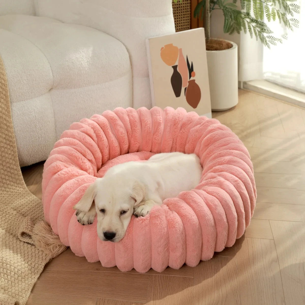 Flauschiges Hundekörbchen