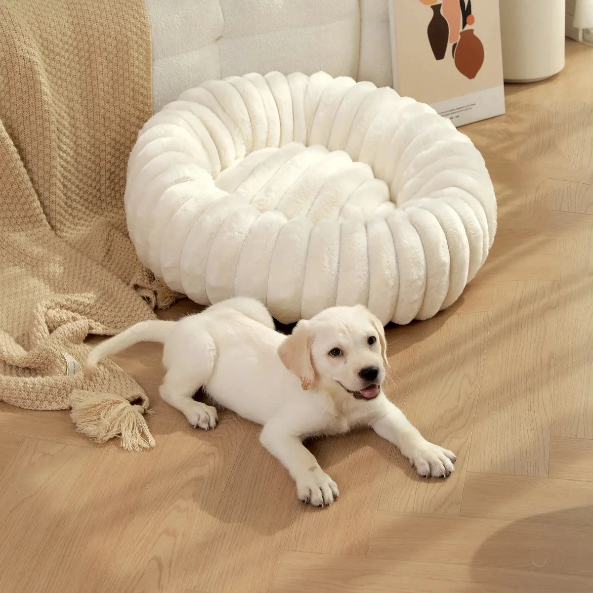 Flauschiges Hundekörbchen